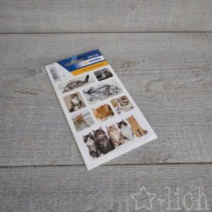 sticker katzen